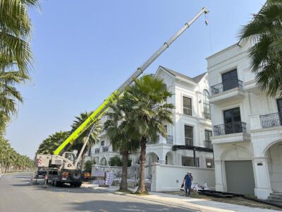Xe cẩu bánh lốp 50 tấn Zoomlion QY50V